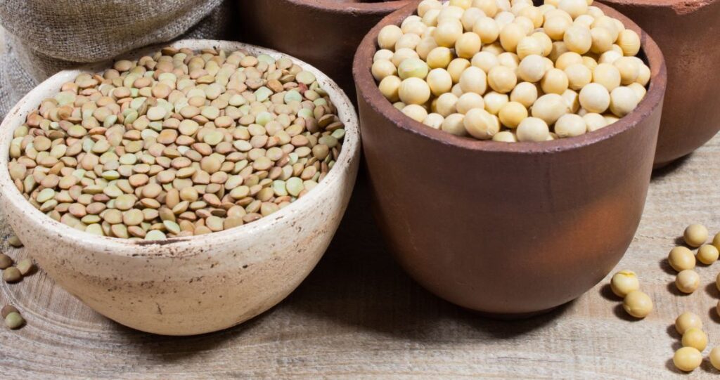 Image of chickpeas and lentils